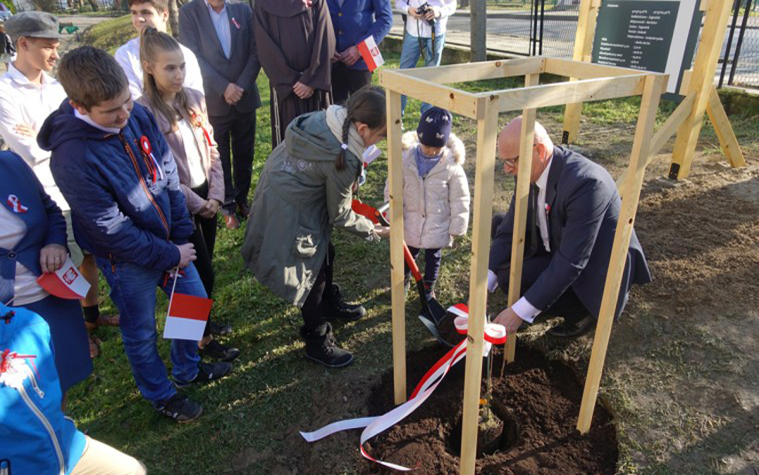 Sadzonka z najsłynniejszego w Polsce dębu zasadzona w kalwaryjskiej szkole