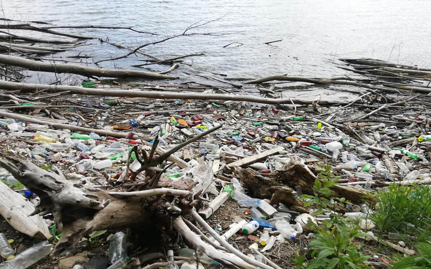 Zarządca Jeziora Mucharskiego organizuje akcję sprzątania śmieci