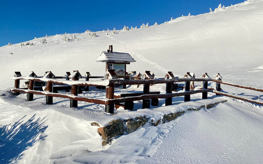Szczyt Babiej Góry będzie dostępny dla narciarzy!